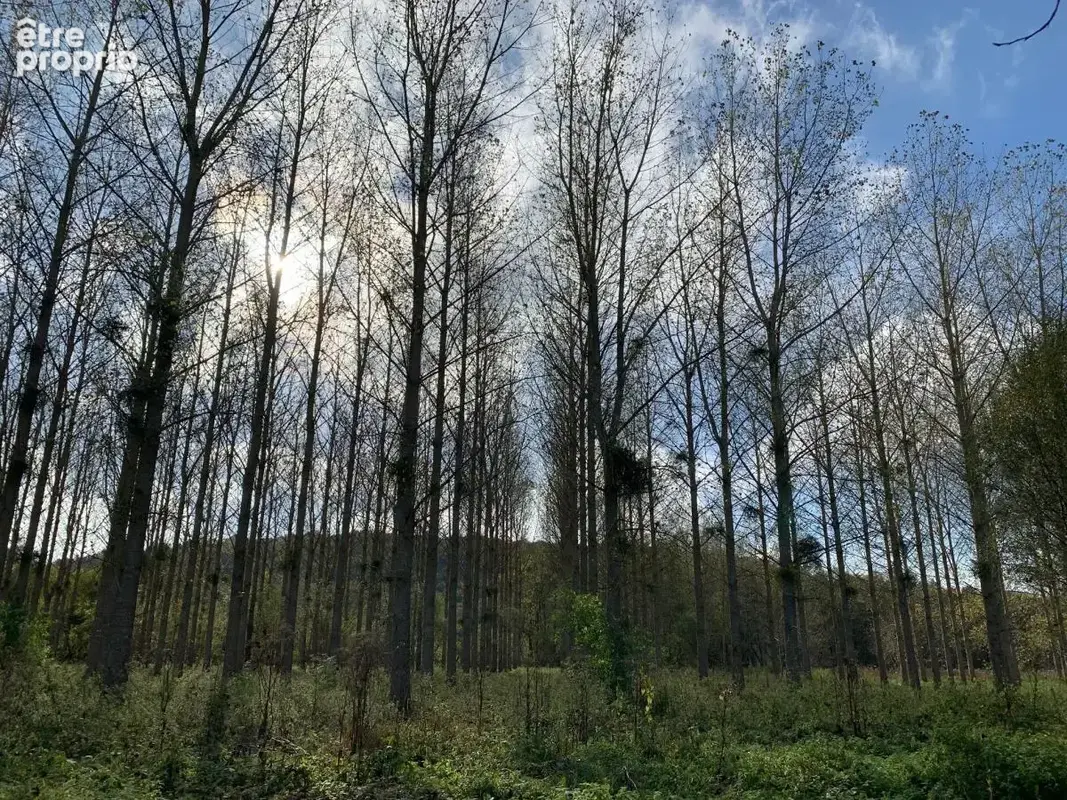 Terrain à TORDOUET