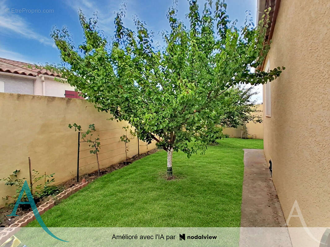 Maison Lezignan Corbieres 5 pièce(s) 130 m2 avec piscine - photo 14