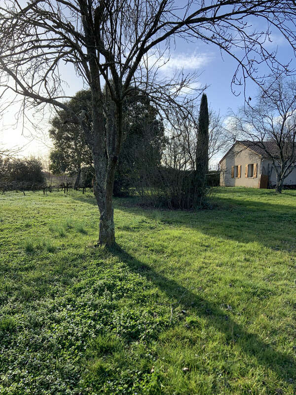 Maison à LISLE-SUR-TARN