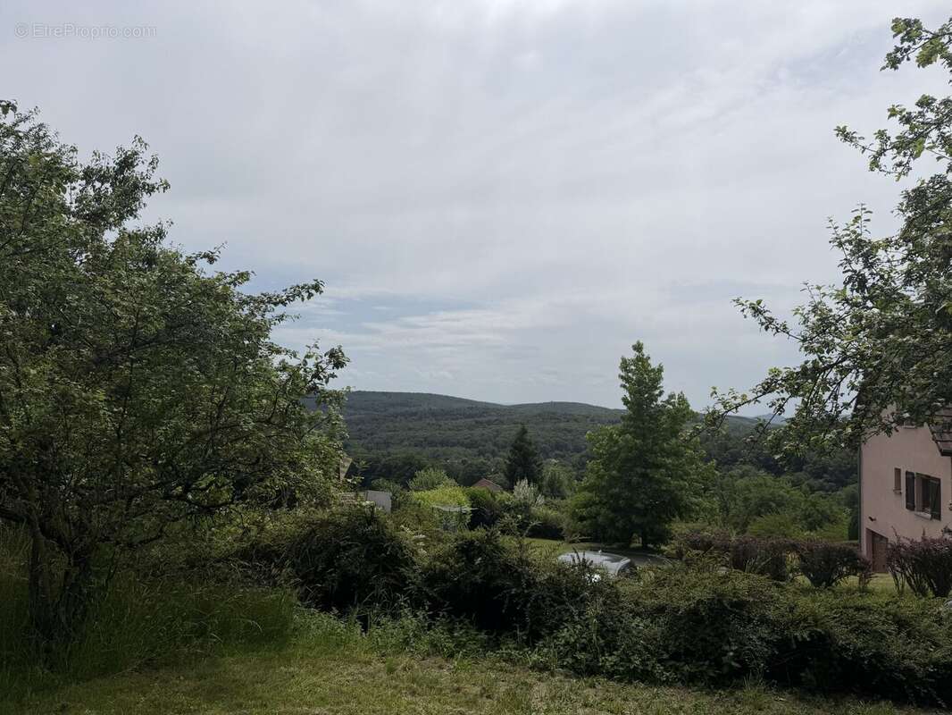 Terrain 1200 m² à Auxelles-Haut  - photo 3