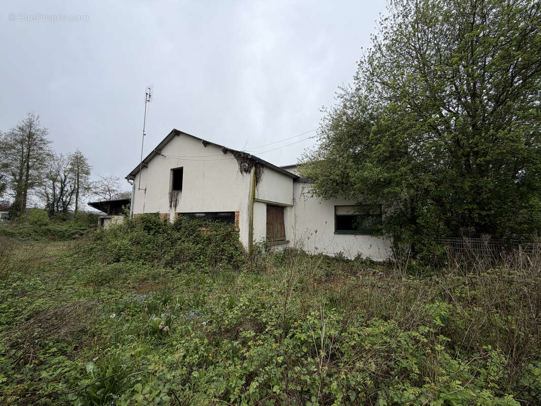 Maison à LOUVIGNE-DU-DESERT