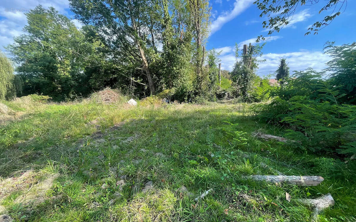 Terrain à SAINT-VINCENT-DE-PAUL