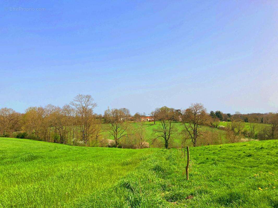 Terrain à LES LUCS-SUR-BOULOGNE