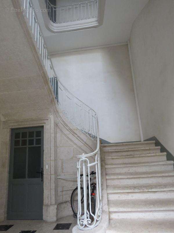 Beau T3 dans immeuble de caractère hyper centre - photo 15