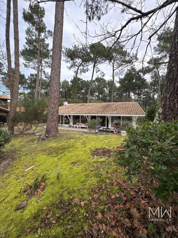 Maison à LEGE-CAP-FERRET