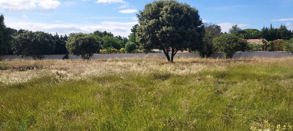 Terrain à AVIGNON