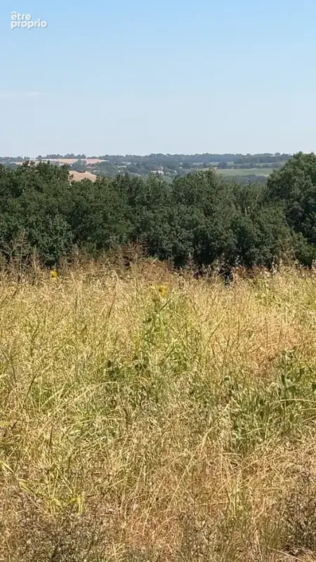 Terrain à LACROIX-FALGARDE