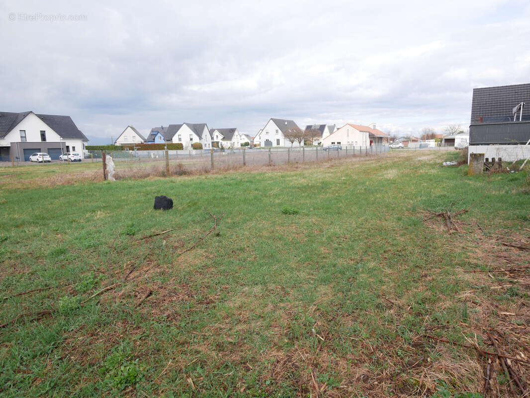 Terrain à HIRTZFELDEN