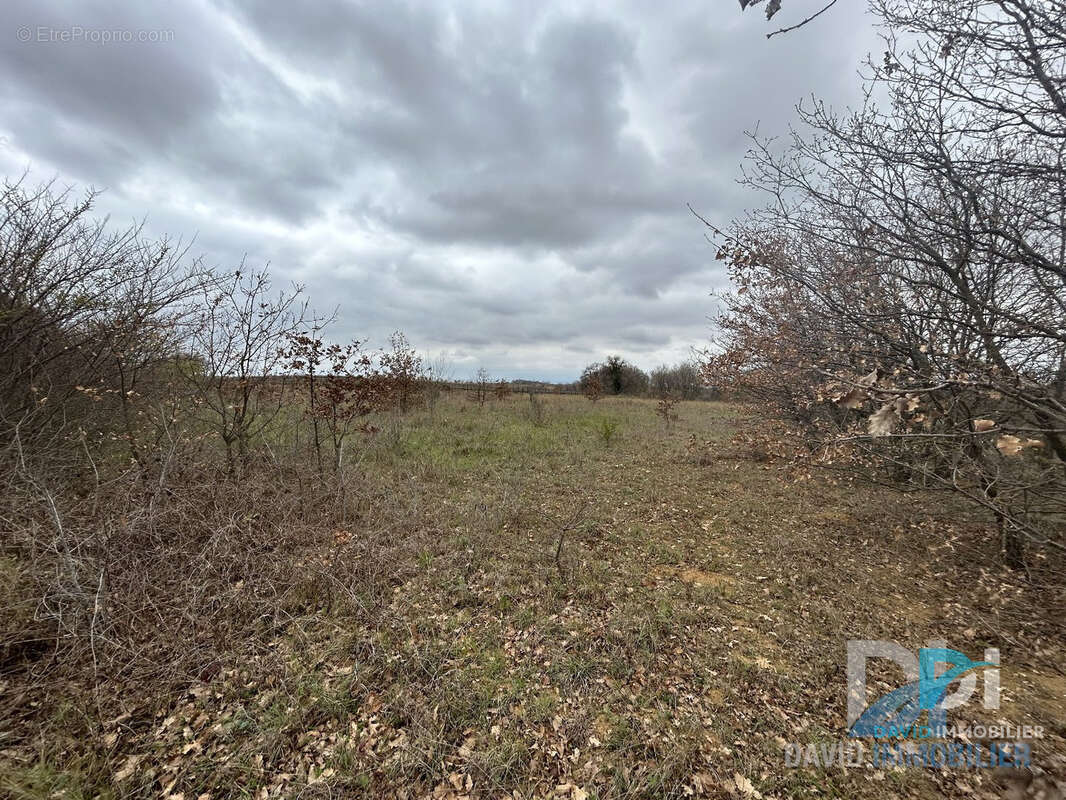 Terrain agricole de 3500 m2 - photo 4