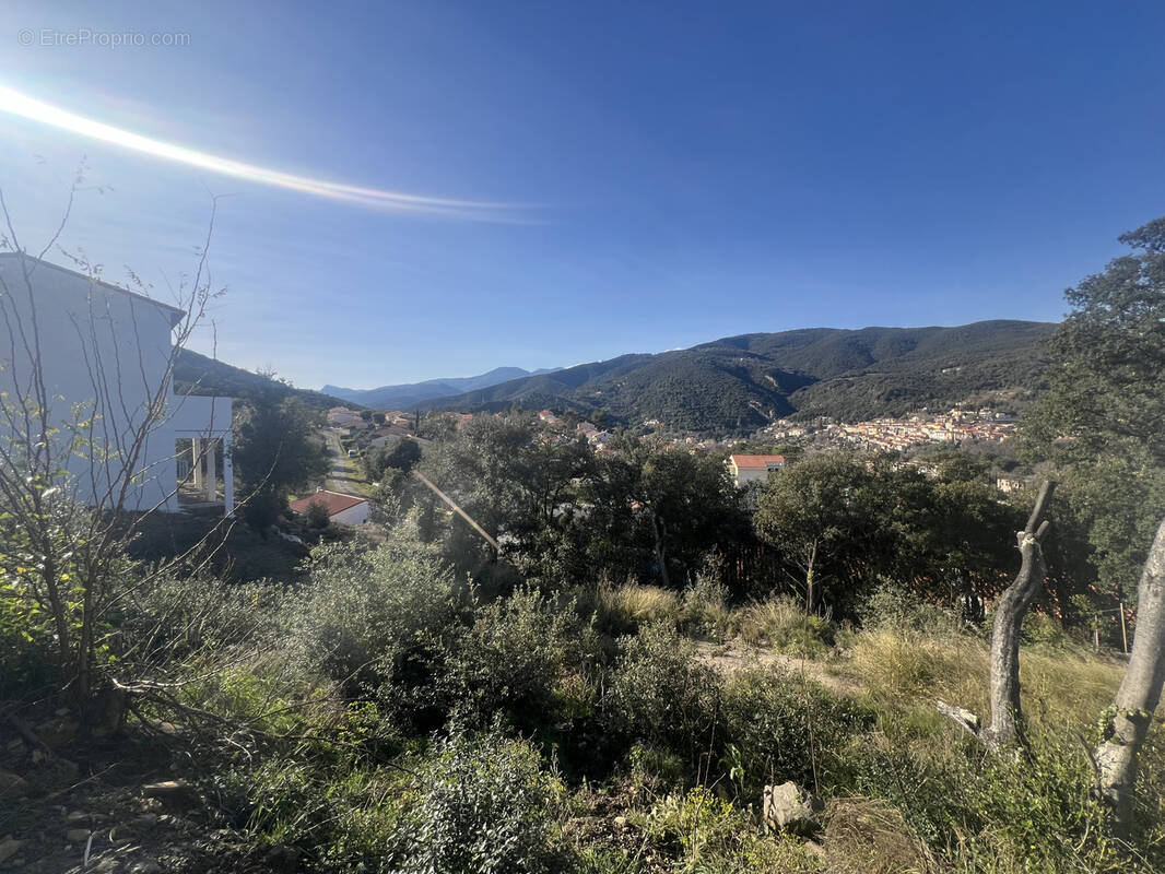 Terrain à AMELIE-LES-BAINS-PALALDA
