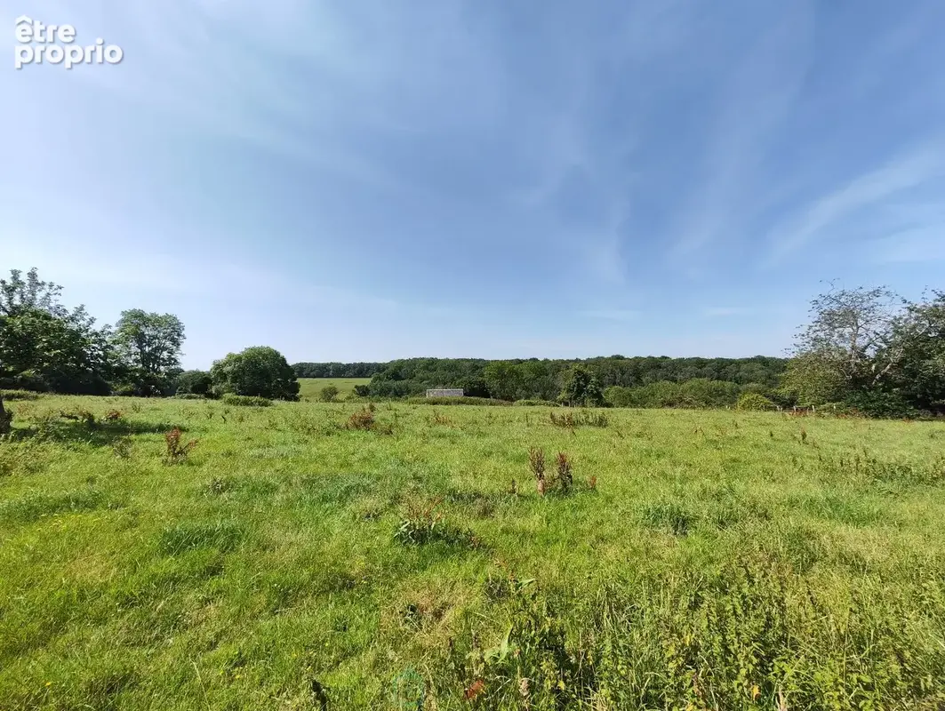 Agréable maison dans écrin de verdure (7350 m²), au calme, avec jolie vue - photo 11