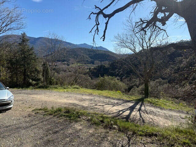 Terrain 6651 m² à Reynes  - photo 3
