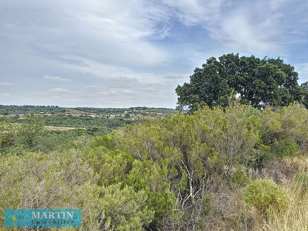 Terrain à LE BOULOU