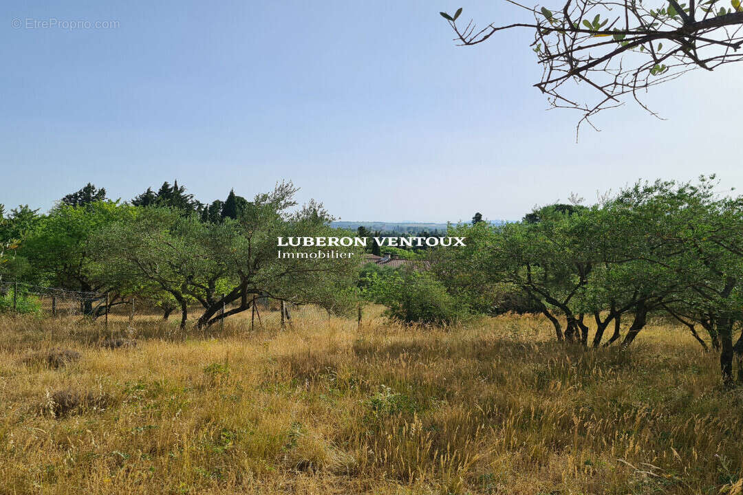 Terrain constructible viabilisé 549m² - photo 3