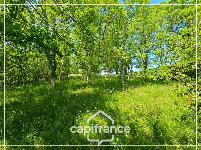 Maison à CASTELCULIER