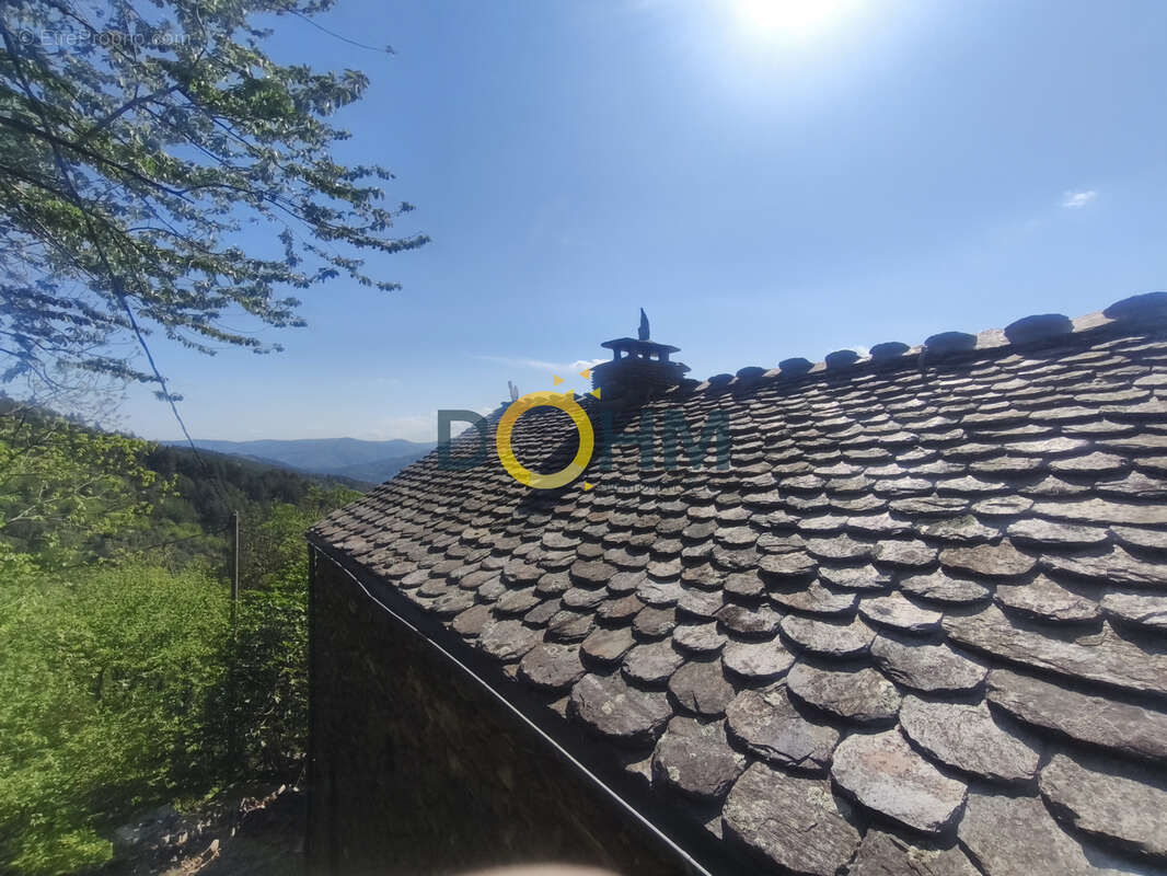 Maison à LE COLLET-DE-DEZE