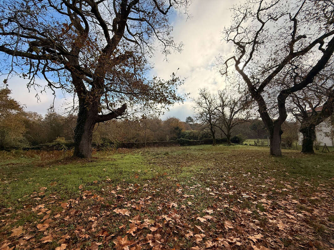 Terrain à UCHACQ-ET-PARENTIS