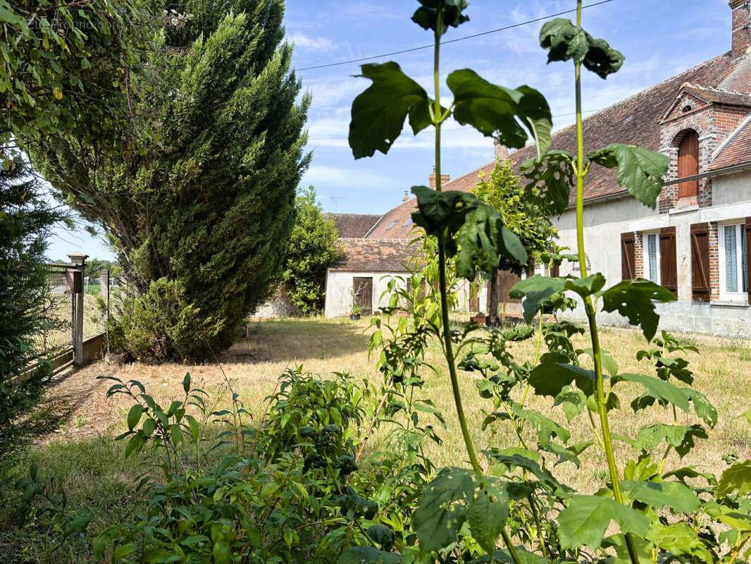 Maison à CHANTECOQ
