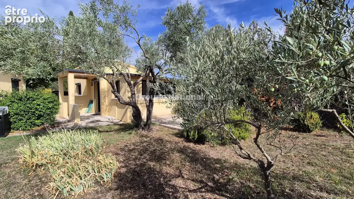 Aubignan - maison sur 2703 m² de terrain - photo 7