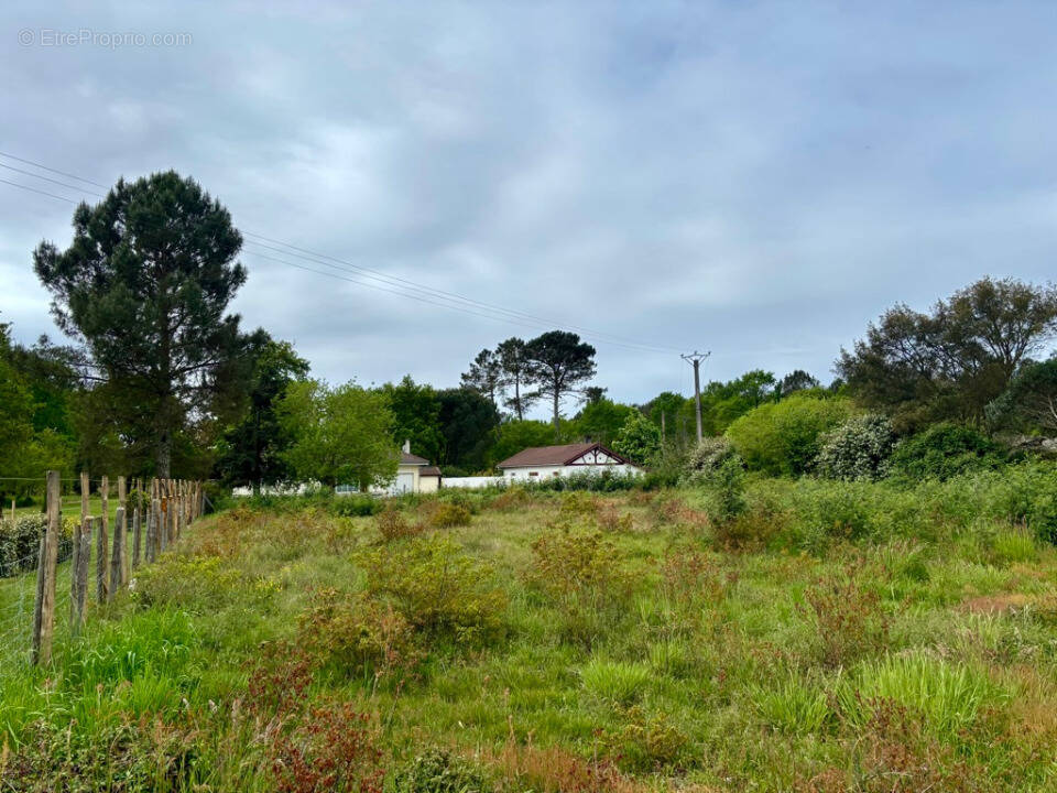 Terrain à MIMIZAN