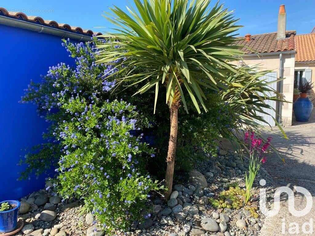 Photo 3 - Maison à LA JARRIE