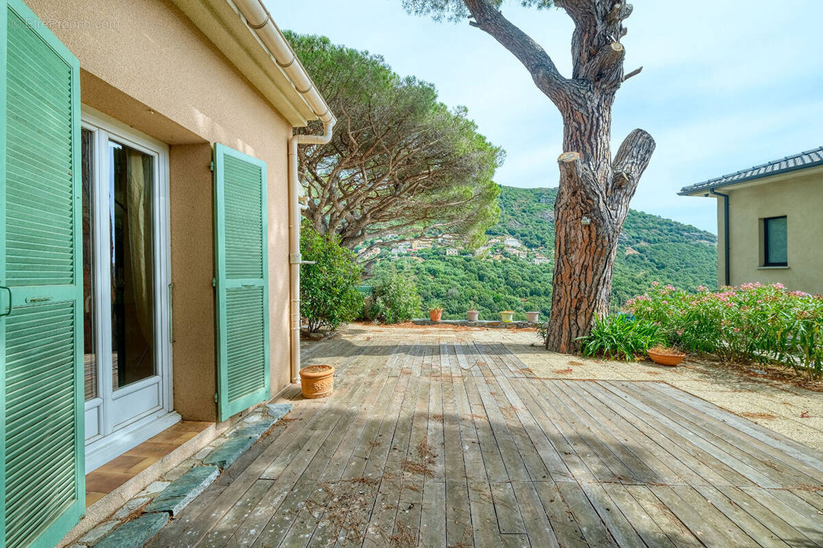 Maison 194m² à ville-di-pietrabugno - photo 1