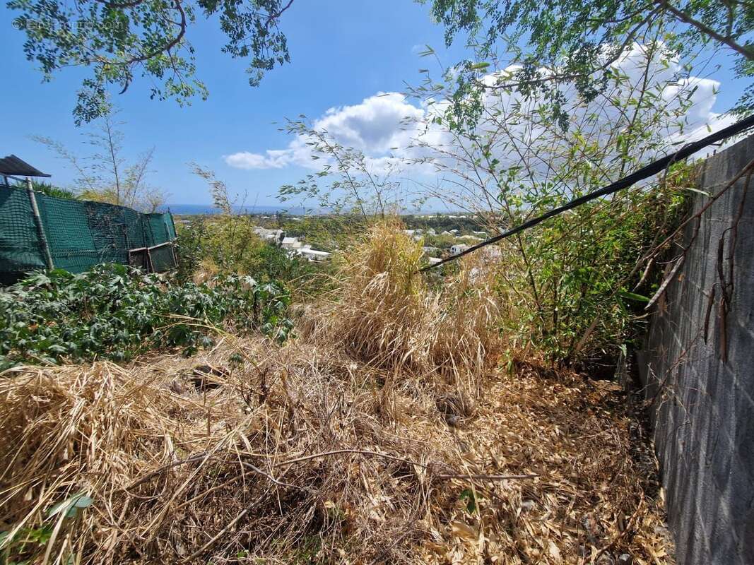 Terrain à SAINT-DENIS
