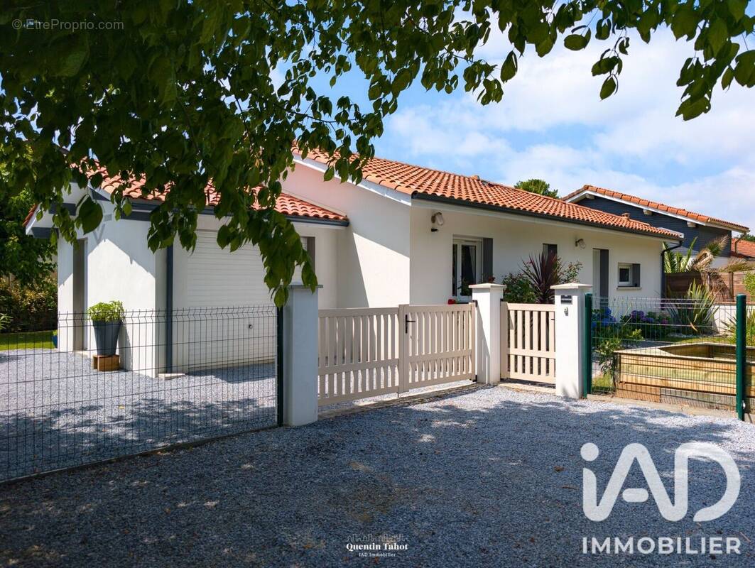 Photo 1 - Maison à BENESSE-MAREMNE