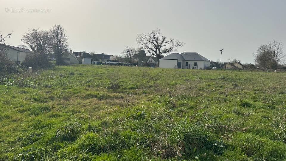 Terrain à COUVAINS