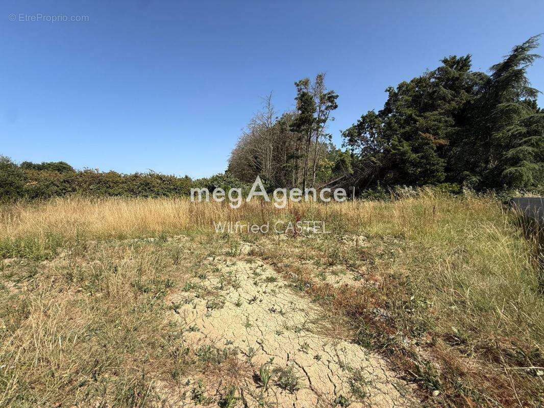 Terrain à bâtir de 986 m2 Ile d'Olonne - photo 3