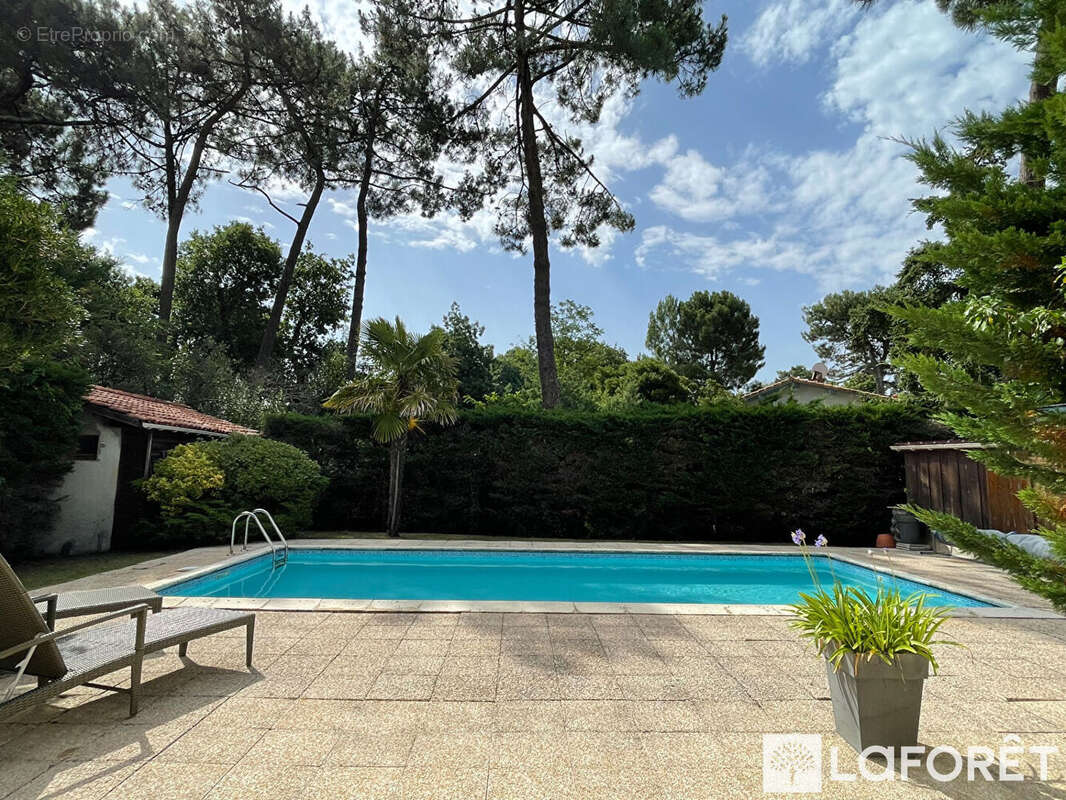 Maison Arcachon 6 pièces 180 m2 - photo 2