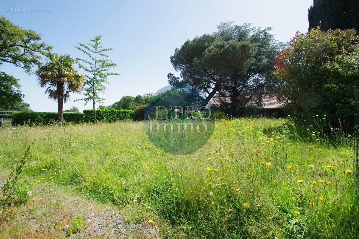 Terrain à BASSE-GOULAINE