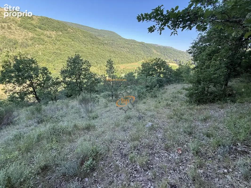 Vente remise avec  2,45 hectares de terrains Versols-et-Lapeyre - photo 17