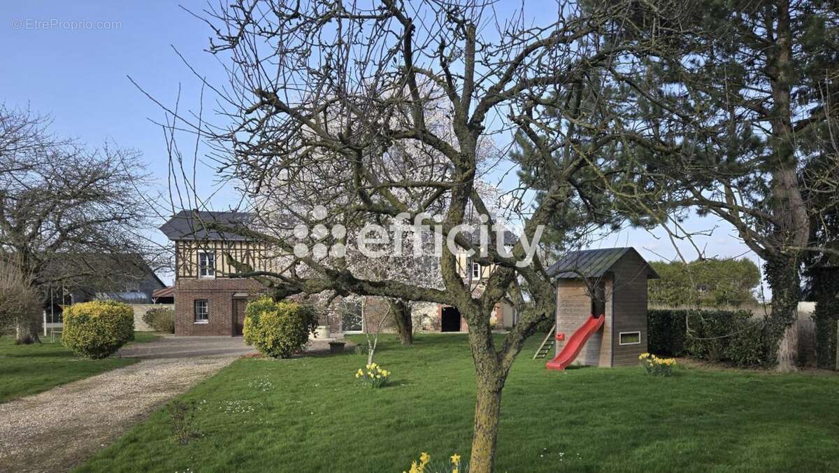 Maison à AMFREVILLE-LA-CAMPAGNE