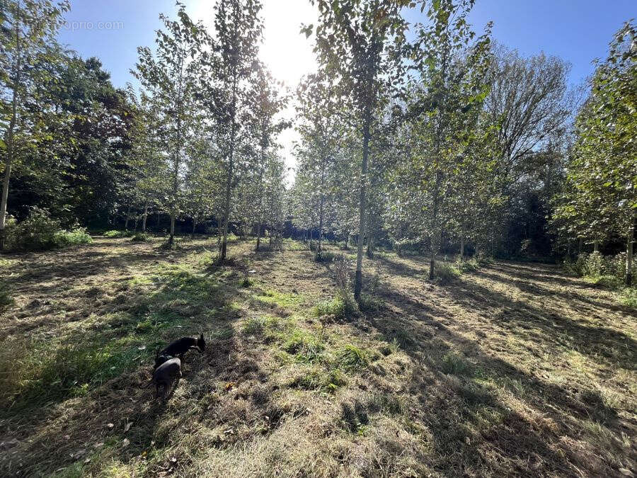 Terrain à SAINT-AMAND-LES-EAUX