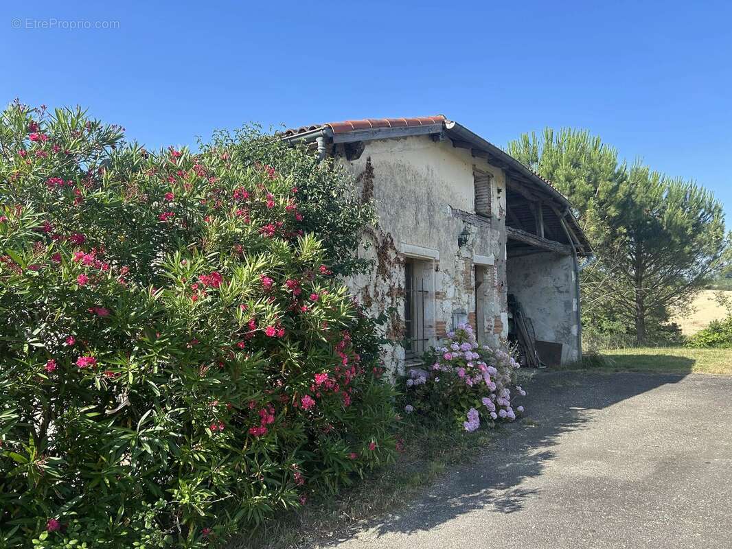 Ferme spacieuse de 220 m² avec maison d'amis et terrain équestre près de Moissac - photo 2