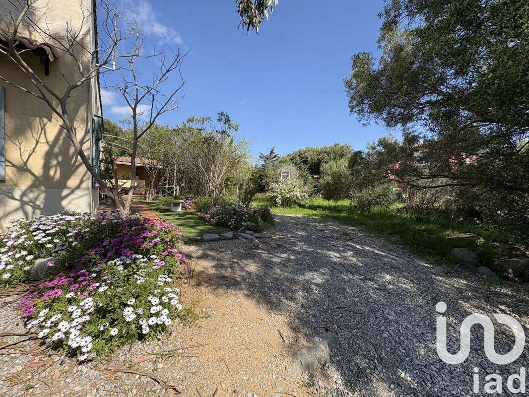 Photo 3 - Maison à LA PALME