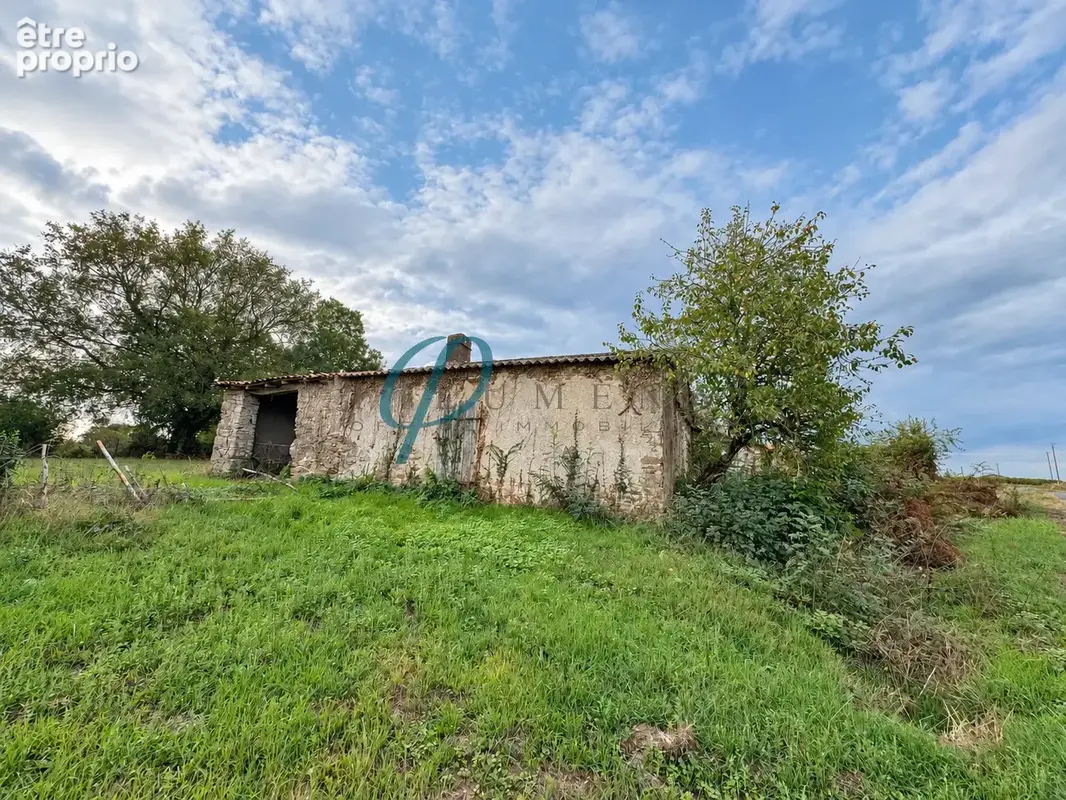 Maison à rénover - Drain - photo 2