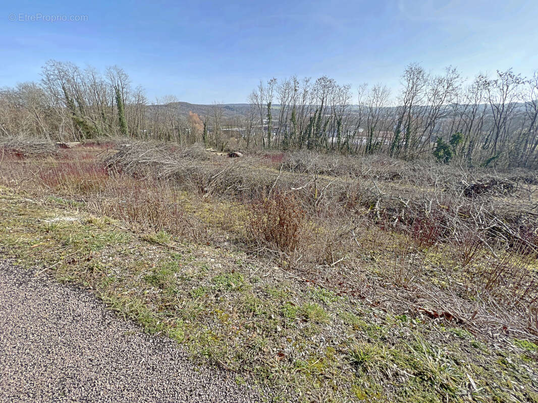 À Poussay, terrain avec des droits à bâtir de 919m2 à vendre - photo 3