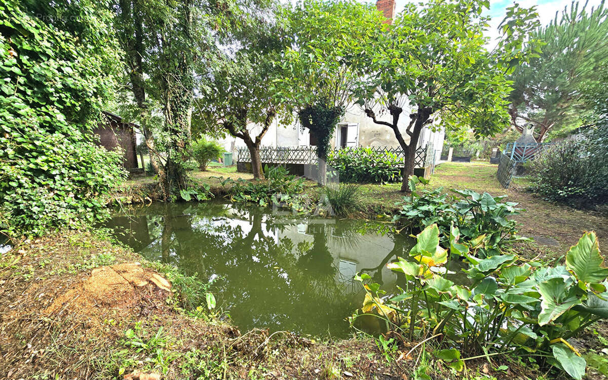 Maison à SAINT-LAURENT-DES-HOMMES