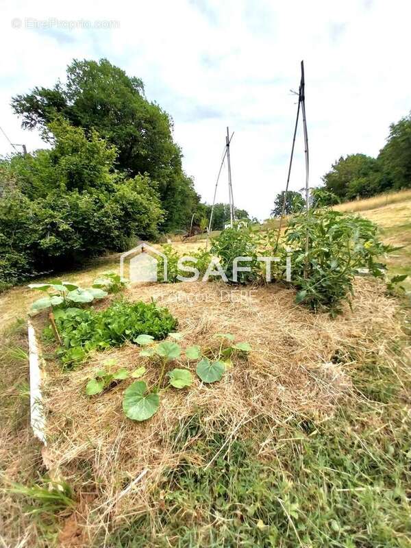 Photo 5 - Maison à LE BUISSON-DE-CADOUIN