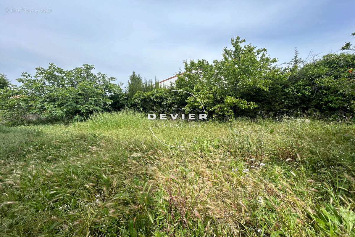 Maison à BAILLARGUES