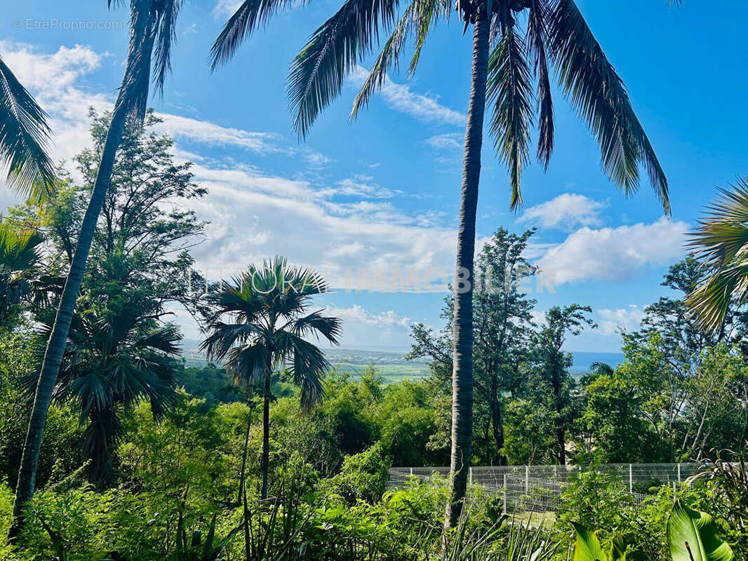 Terrain à L'ETANG-SALE