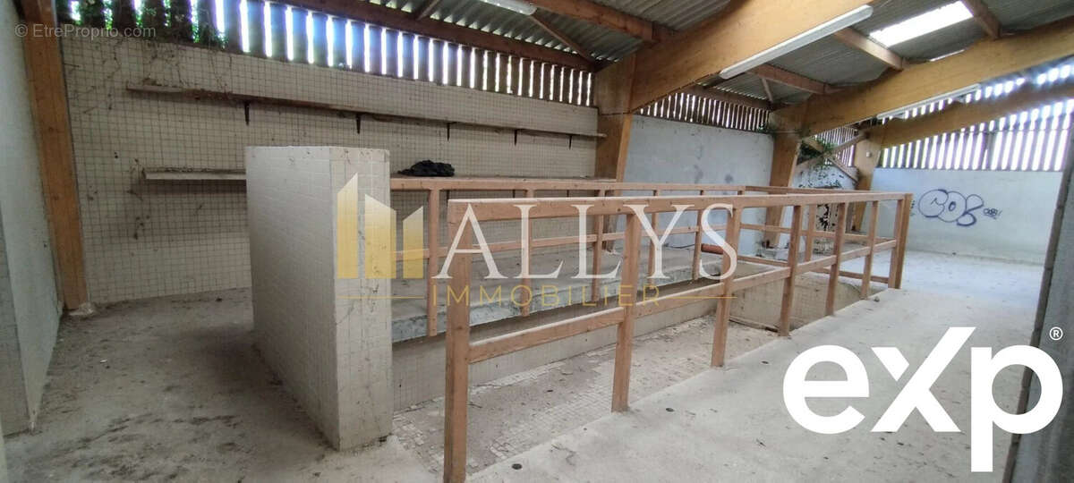 Commerce à RADEPONT