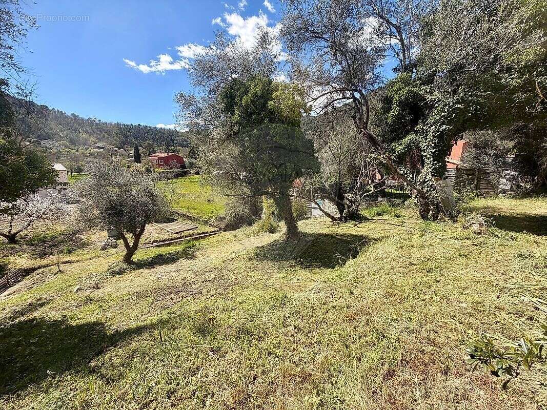 Terrain à TOURRETTE-LEVENS