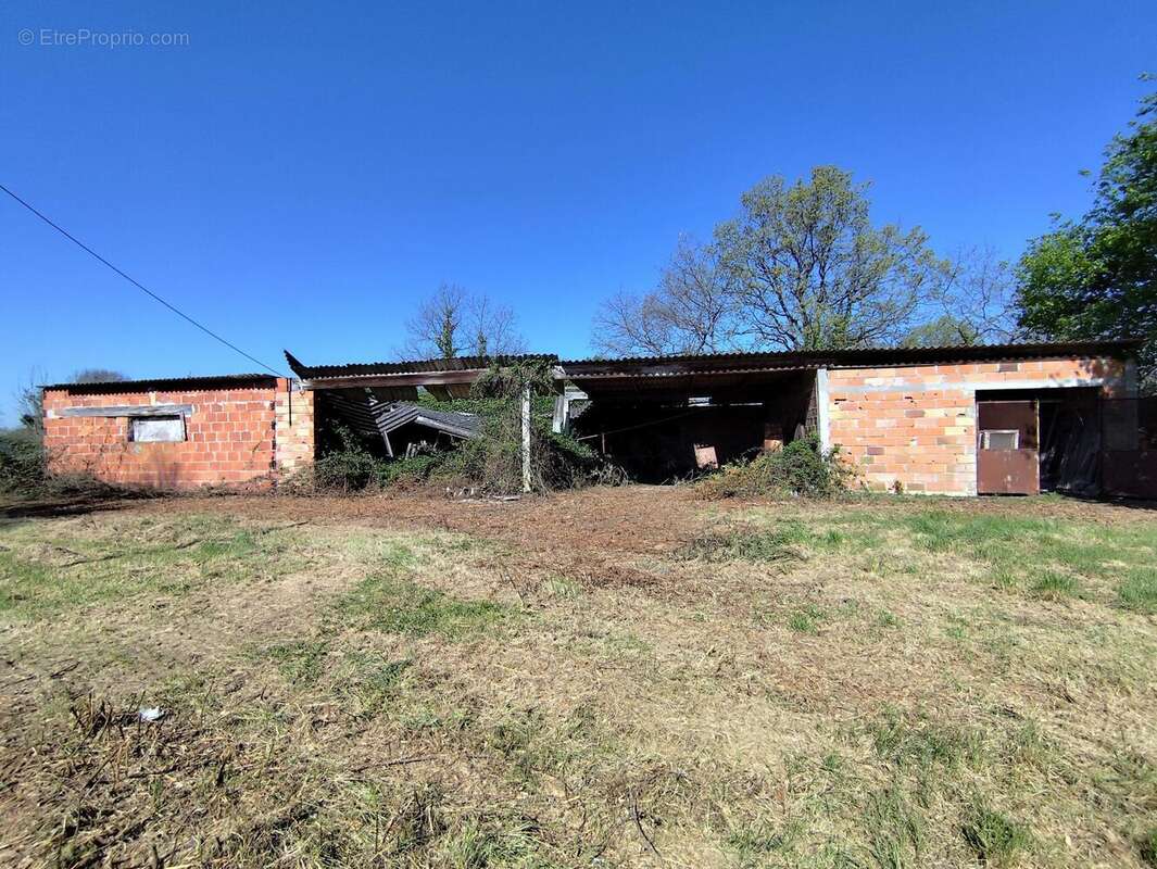 Photo 4 - Terrain à CASTELSARRASIN