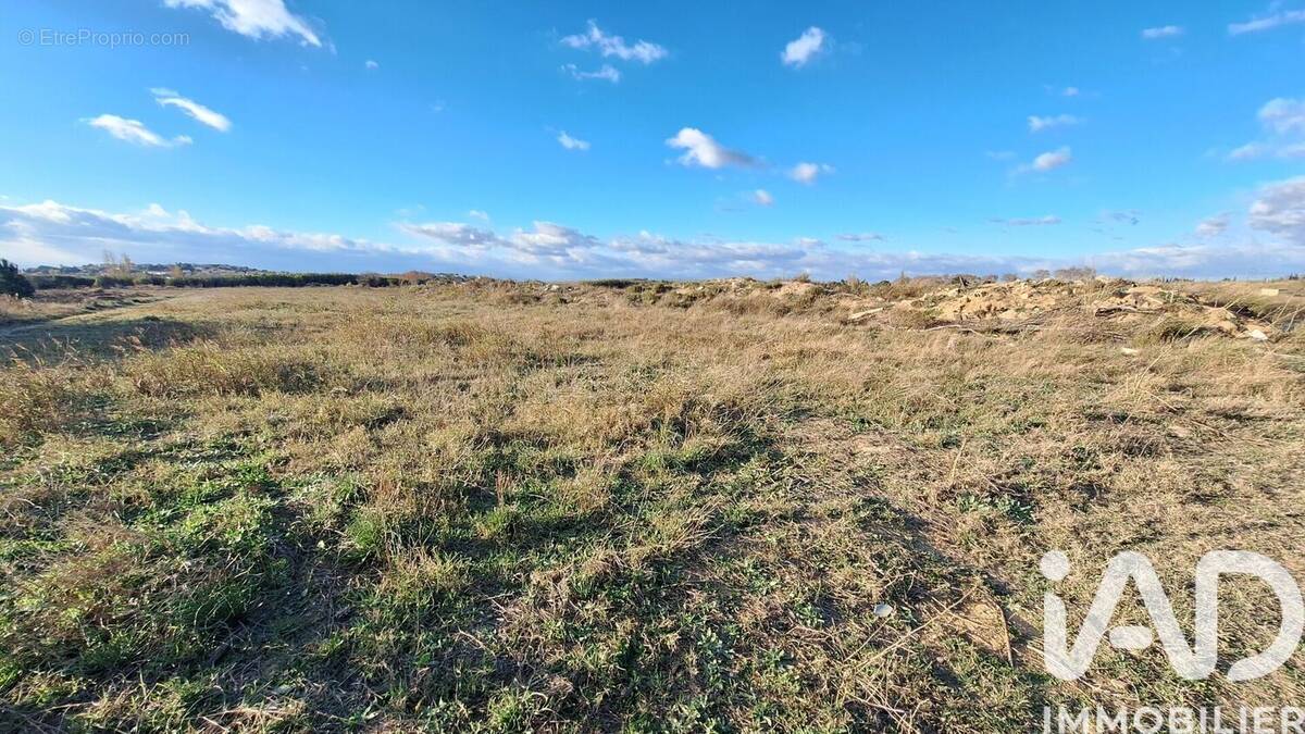 Photo 1 - Terrain à THEZA