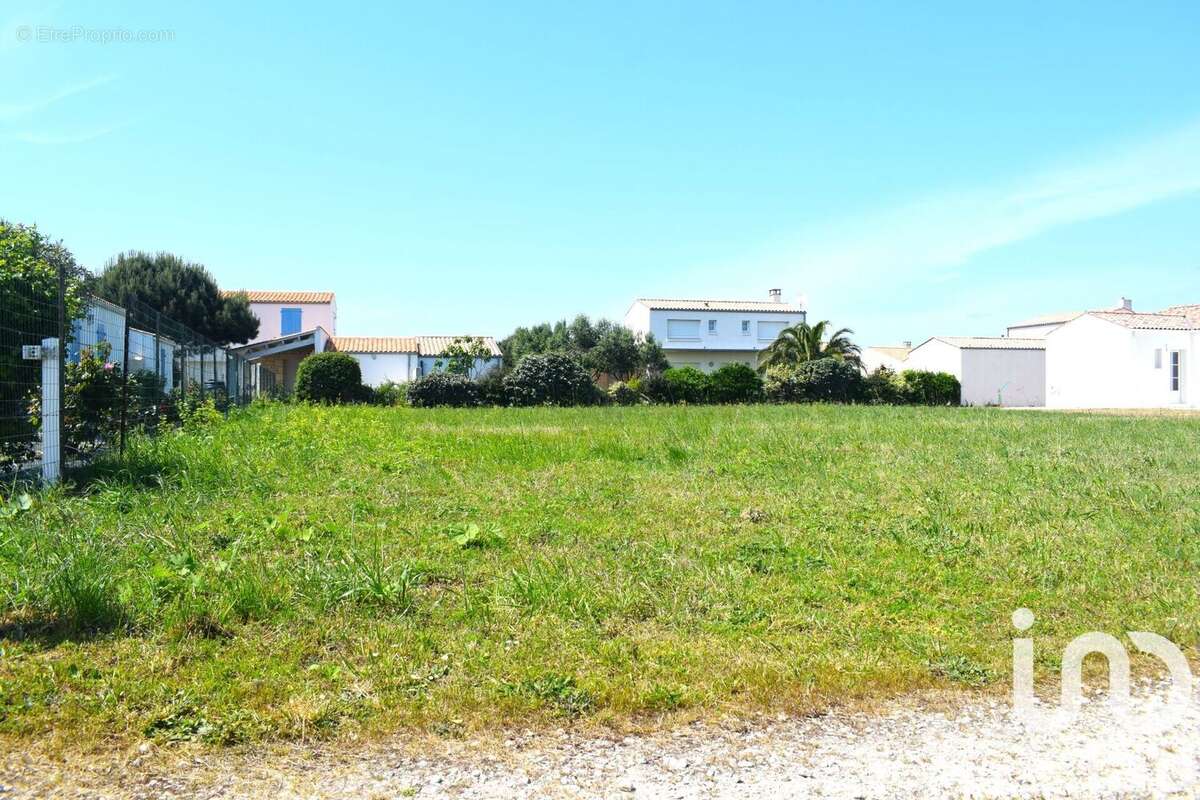 Photo 6 - Terrain à SAINT-DENIS-D'OLERON
