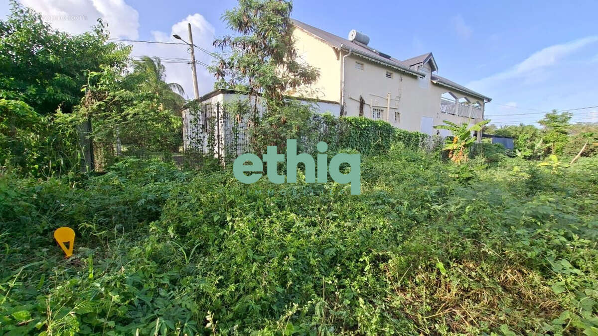Terrain 819 m² à Le Gosier  - photo 2