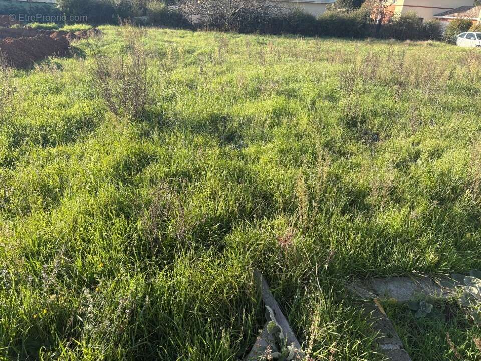 Terrain à BESSIERES